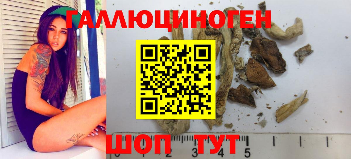 Галлюциногенные грибы Magic Shrooms Новодвинск